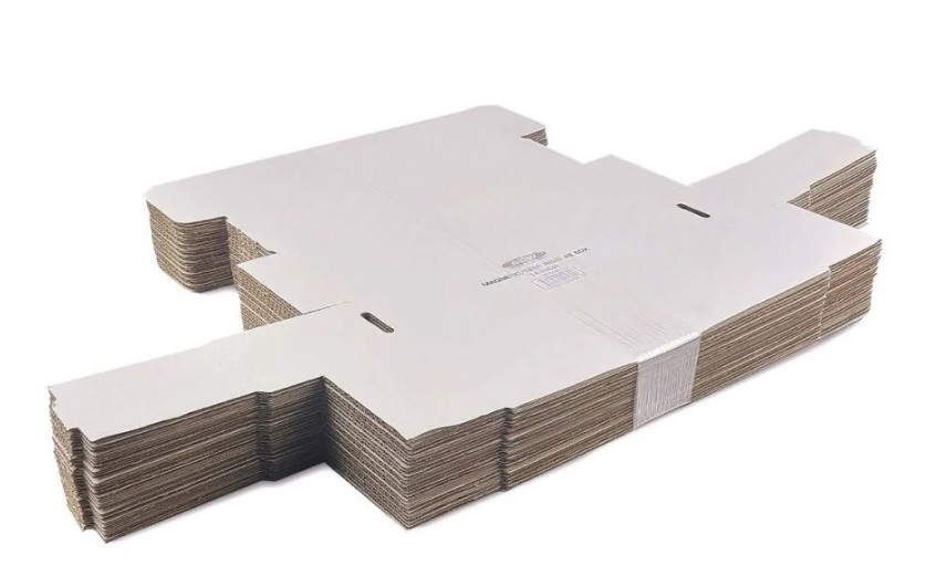 BCW Magnetic/Semi Rigid #2 Holder Box 14 Inch